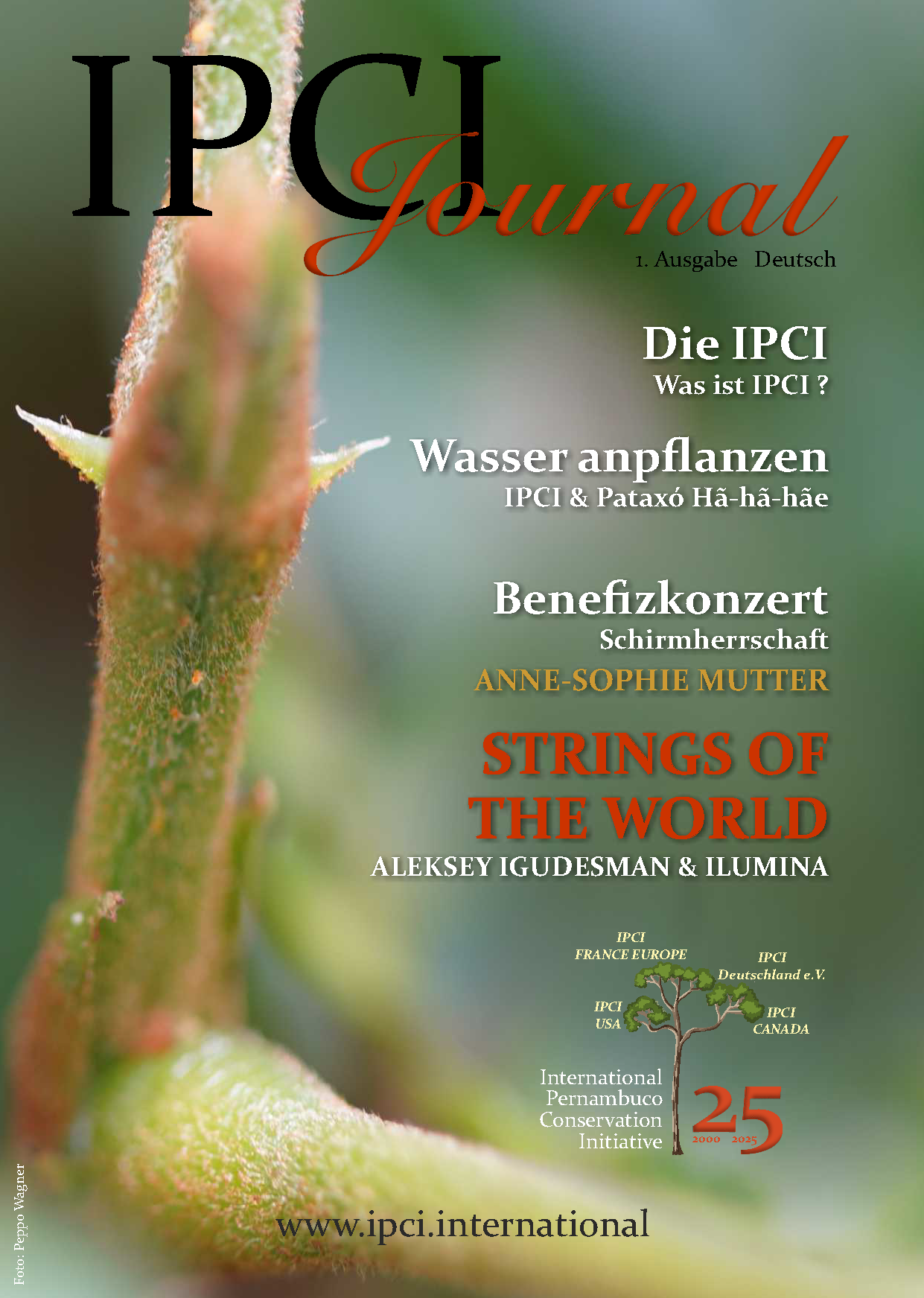 IPCI Journal – 1. Ausgabe